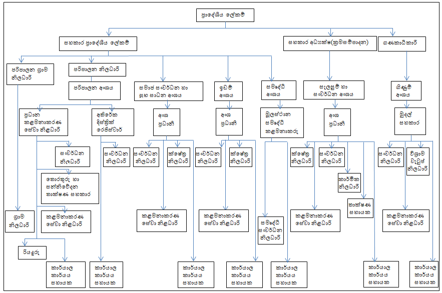 organization chart